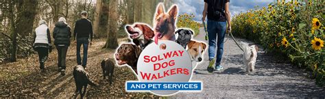 Solway dog walkers and Pet Service